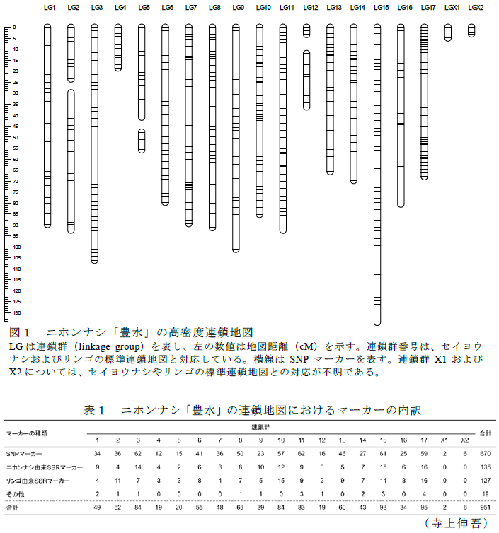 図1,表1