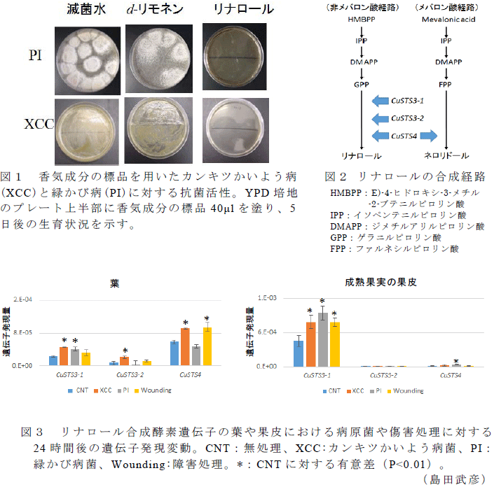 図1～3