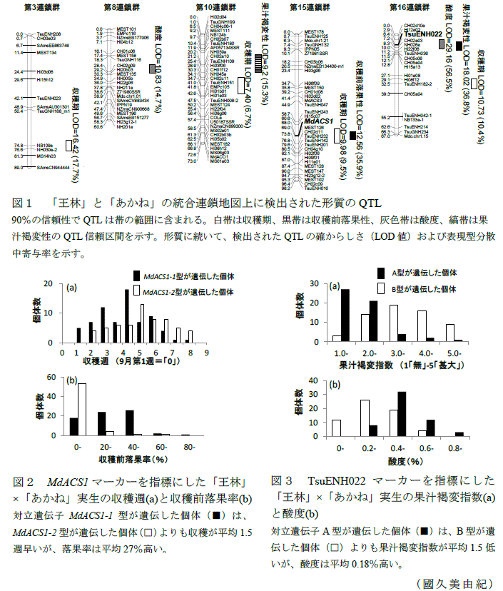 図1～3