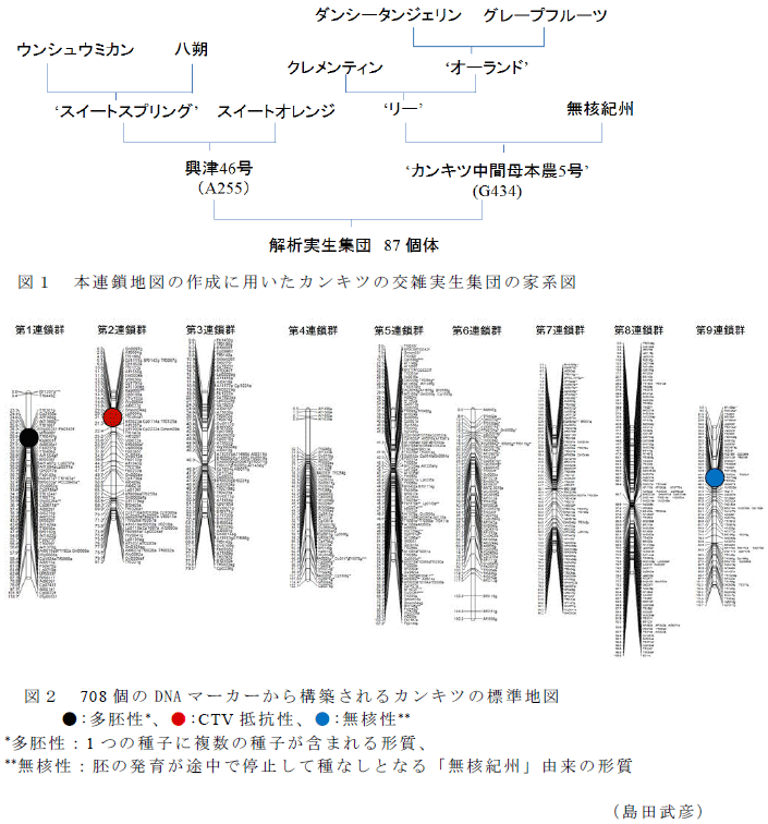 図1～2