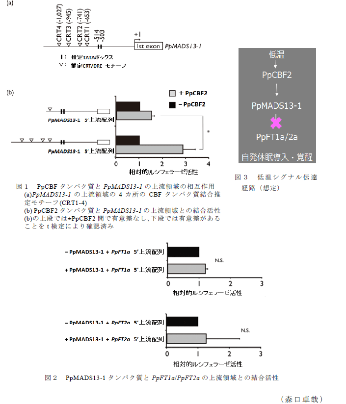 図1～3