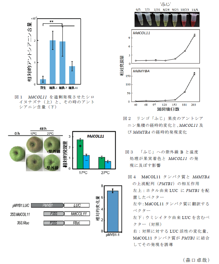 図1～4