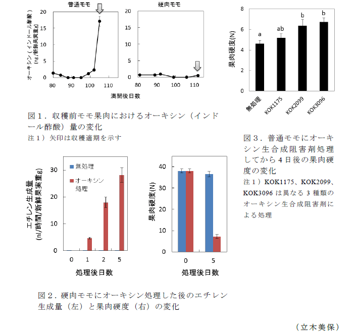 図1～3