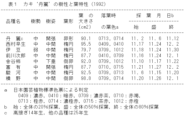 表1 カキ'丹麗'の樹性と葉特性(1992)