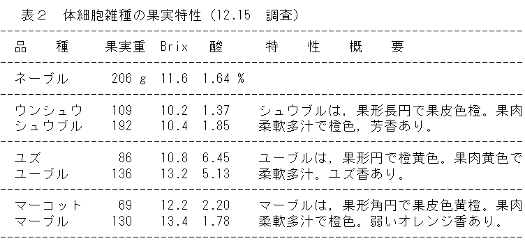 表2 体細胞雑種の果実特性(12.15 調査)