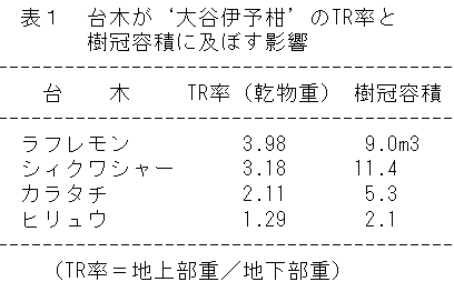 表1 台木が‘大谷伊予柑’のTR率と樹冠容積に及ぼす影響