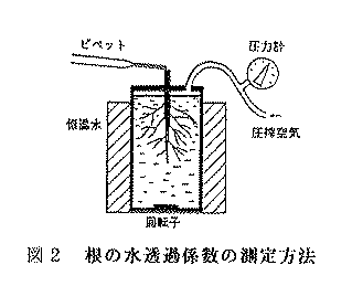 図2.根の水透過係数の測定方法