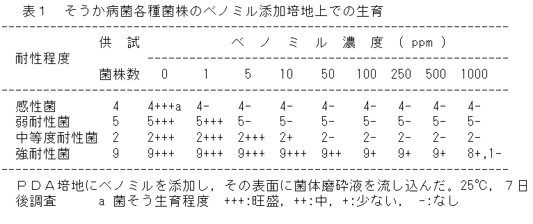 表1 そうか病菌各種菌株のベノミル添加培地上での生育