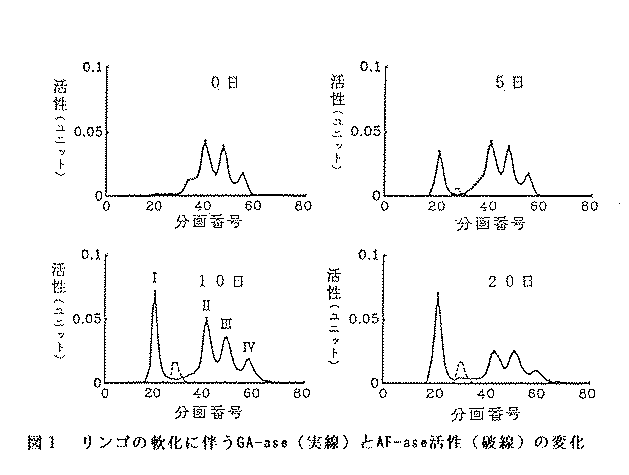 図1.リンゴの軟化に伴うGA-ase(実線)とAF-ase活性(破線)の変化