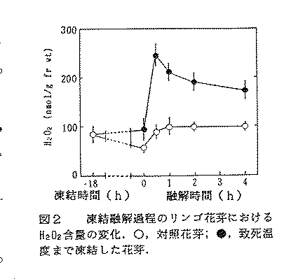 図2.凍結融解過程のリンゴ花芽におけるH2O2含量の変化