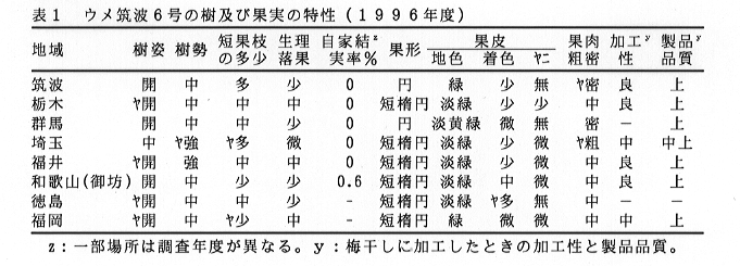 表1 ウメ筑波6号の樹及び果実の特性