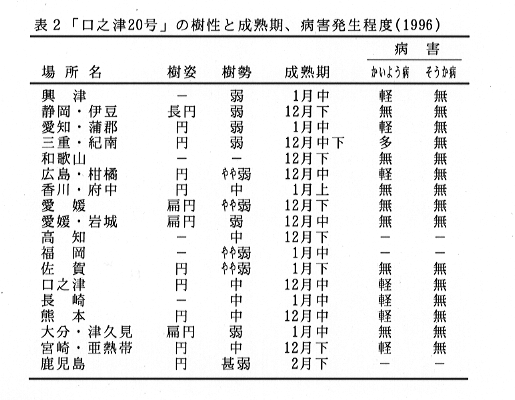 表2 「口之津20号」の樹性と成熟期、病害発生程度