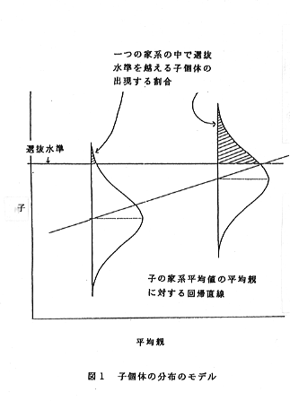 図1 子個体の分布のモデル