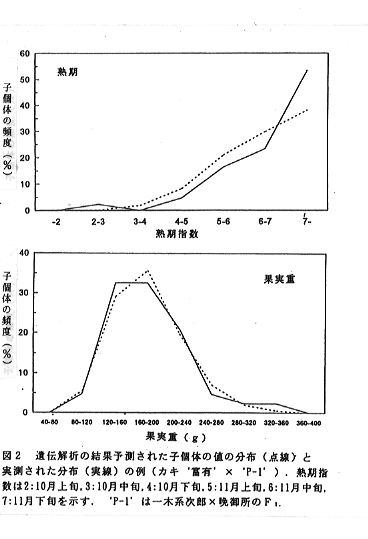 図2 遺伝解析の結果予測された子個体の値の分布と実測された分布の例
