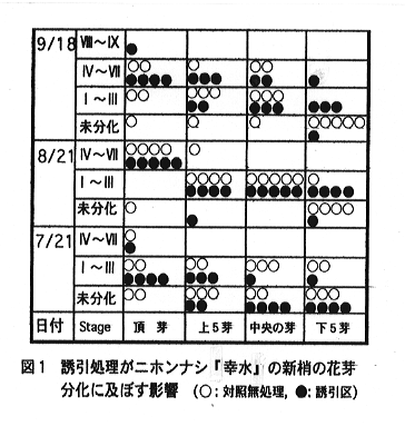 図1 誘引処理がニホンナシ「幸水」の新梢の花芽分化に及ぼす影響