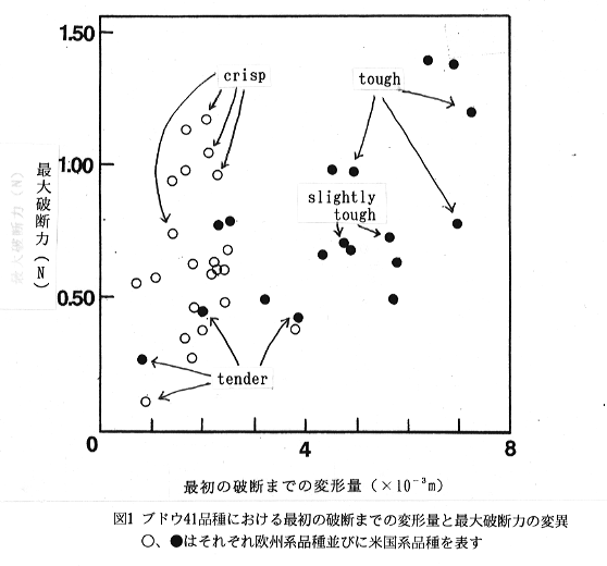 図1 ブドウ41品種における最初の破断までの変形量と最大破断力の変異