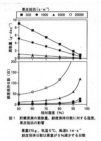 図1 貯蔵果実の蒸散量、鮮度保持日数に対する湿度、果皮抵抗の影響