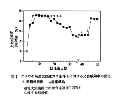 図1 ブドウの高濃度炭酸ガス条件下における光合成効率の変化