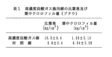 表1 高濃度炭酸ガス施用樹の比葉重及び葉中クロロフィル量(ブドウ)