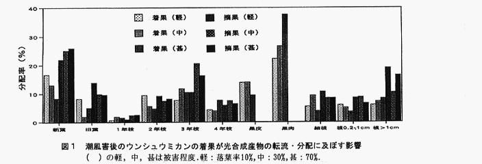 図1 潮風害後のウンシュウミカンの着果が光合成産物の転流・分配に及ぼす影響