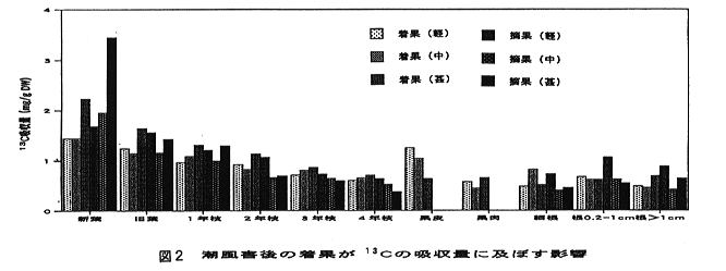 図2 潮風害後の着果が13Cの吸収量に及ぼす影響
