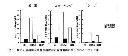 図1 腐らん病病斑及び健全樹皮から各種溶媒に抽出されるペクチン量