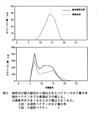 図2 病斑及び健全樹皮から抽出されたペクチンの分子量分布