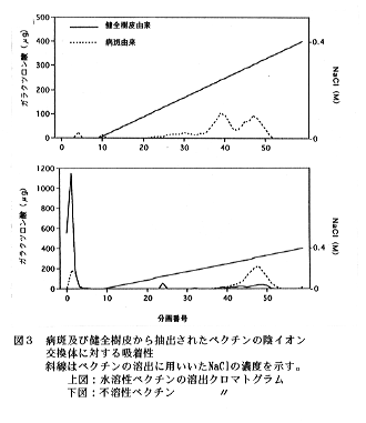 図3 病斑及び健全樹皮から抽出されたペクチンの陰イオン交換体に対する吸着性