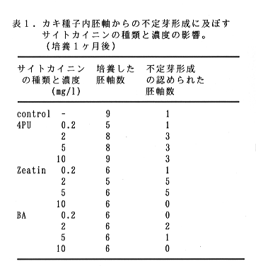 表1 カキ種子内胚軸からの不定芽形成に及ぼすサイトカイニンの種類と濃度の影響