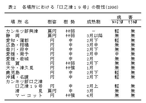 表2.各場所における「口之津19号」の樹性(1996)