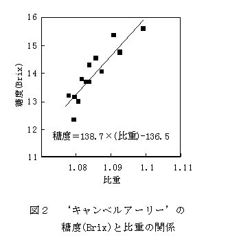 図2.‘キャンベルアーリー’の糖度(Brix)と比重の関係