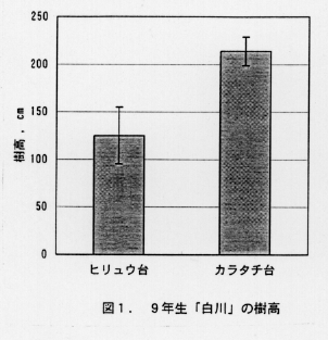 図1.9年生「白川」の樹高