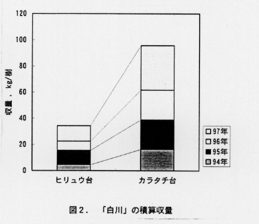 図2.「白川」の積算収量