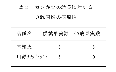 表2.カンキツの幼果に対する分離菌株の病原性