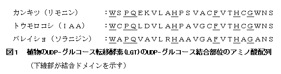 図1 植物のUDP-グルコース転移酵素(LGT)のUDP-グルコース結合部位のアミノ酸配列