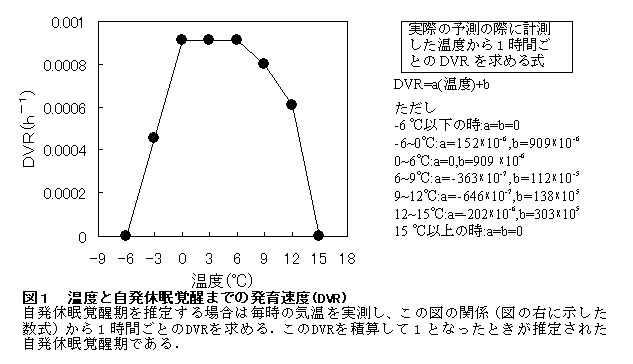 図1 温度と自発休眠覚醒までの発育速度