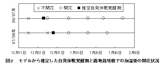 図2 モデルから推定した自発休眠覚醒期と露地栽培樹での加温後の開花状況