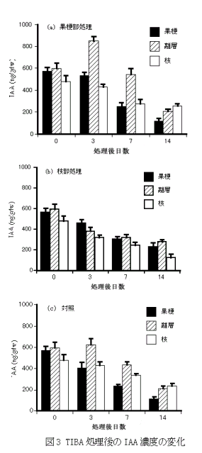 図3 TIBA処理後のIAA濃度の変化