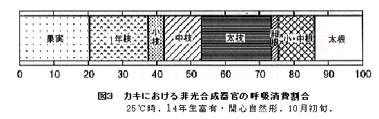 図3 カキにおける非光合成器官の呼吸消費割合