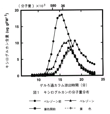 図1 キシログルカンの分子量分布