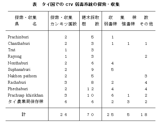 表 タイ国でのCTV弱毒系統の探索・収集