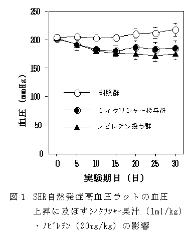 図1 SHR自然発症高血圧ラットの血圧上昇に及ぼすシィクワシャー果汁(1ml/kg)・ノビレチン(20mg/kg)の影響