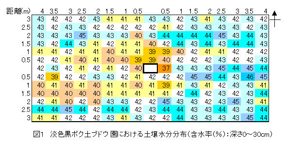 図1 淡色黒ボク土ブドウ園における土壌水分分布(含水率(%):深さ0～30cm)