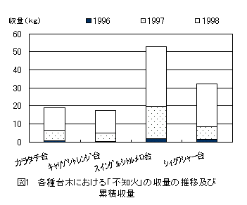 図1 各種台木における「不知火」の収量の推移及び累積収量