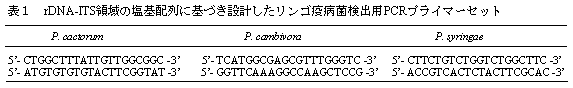 表1 rDNA-ITS領域の塩基配列に基づき設計したリンゴ疫病菌検出用PCRプライマーセット