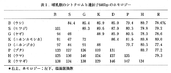 表1 哺乳類のシトクロムb遺伝子646bpのホモロジー