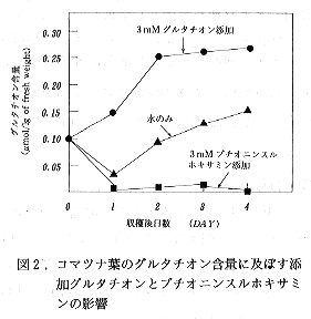 図2 コマツナ葉のグルタチオン含量に及ぼす添加グルタチオンとブチオニンスルホキサミンの影響