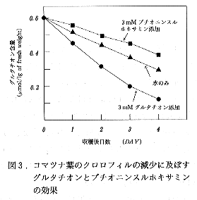 図3 コマツナ葉のグルタチオン含量に及ぼすグルタチオンとブチオニンスルホキサミンの効果