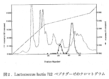 図2 Lactococcus lactis 712ペプチダーゼのクロマトグラム
