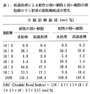 表1 低温処理による耐性の強い細胞と弱い細胞の液胞膜のリン脂質の脂肪酸組成の変化